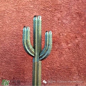 ���ɫ��ʲô��ɫ�����ɫ�ں���ɫ